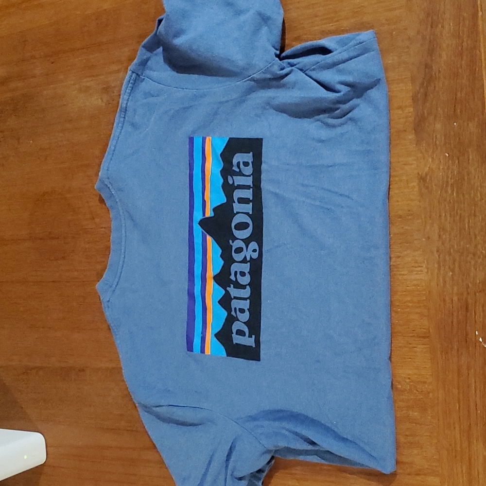 Blue Patagonia Responsibili-tee M